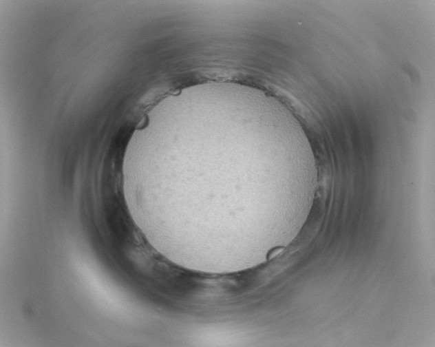 X0000115190334200911181453