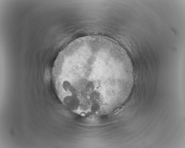 X0000115190335200911181453