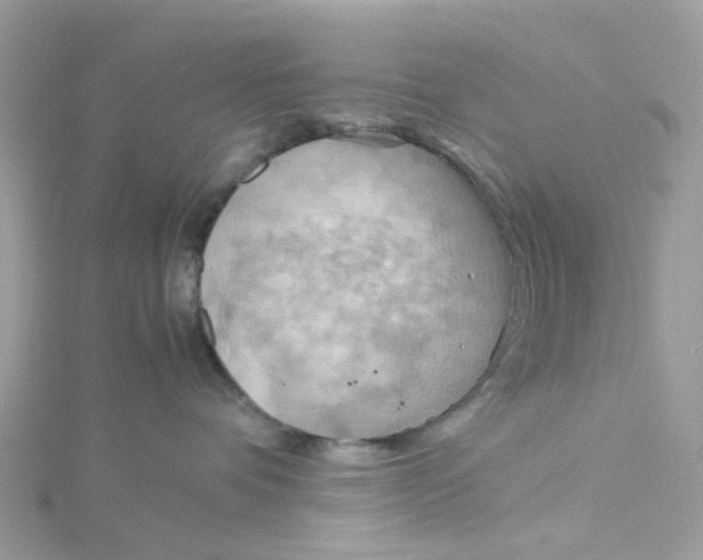 X0000115190336200911181453