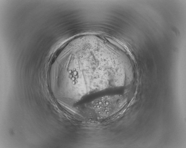 X0000115190337200911181452