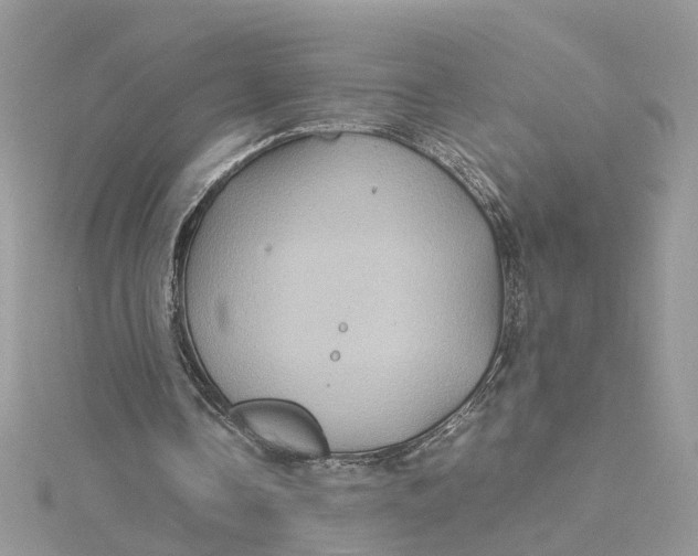 X0000115190338200911181452