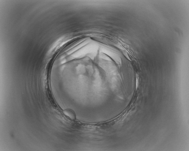 X0000115190339200911181452