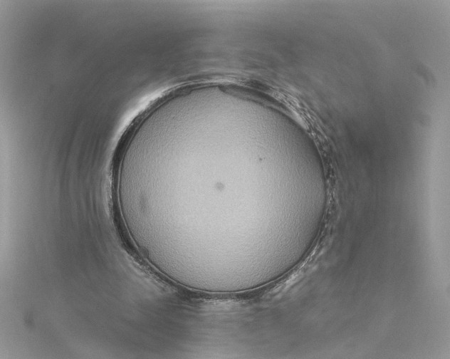 X0000115190342200911181452