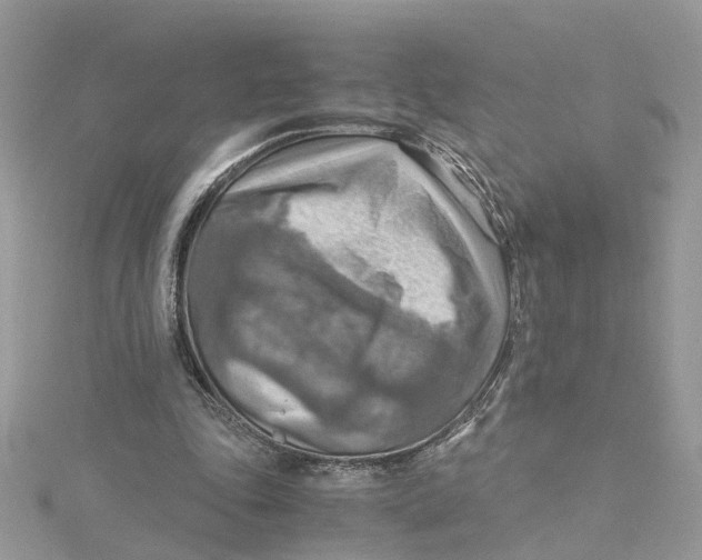 X0000115190343200911181453