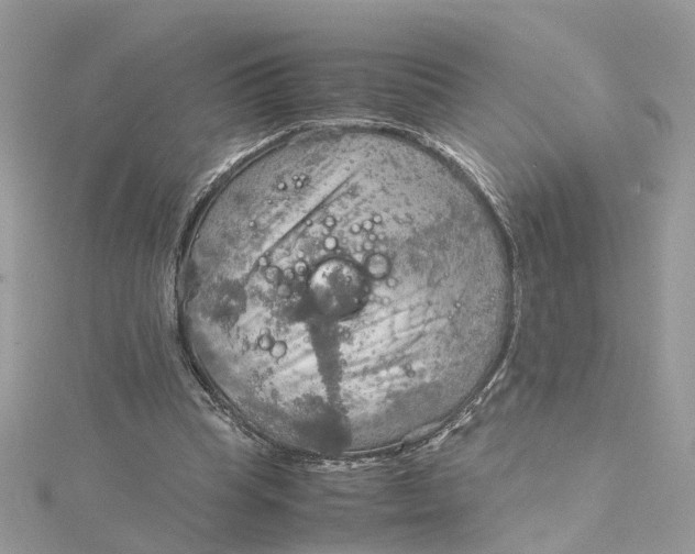 X0000115190345200911181453