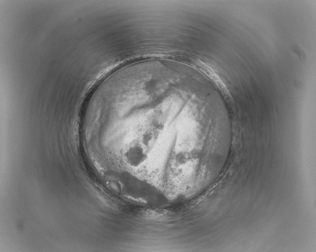 X0000115190346200911181453