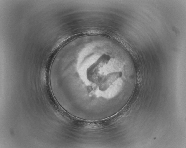 X0000115190347200911181453