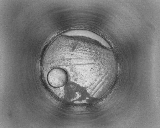 X0000115190349200911181453