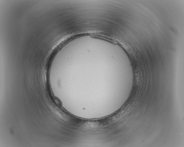 X0000115190350200911181453