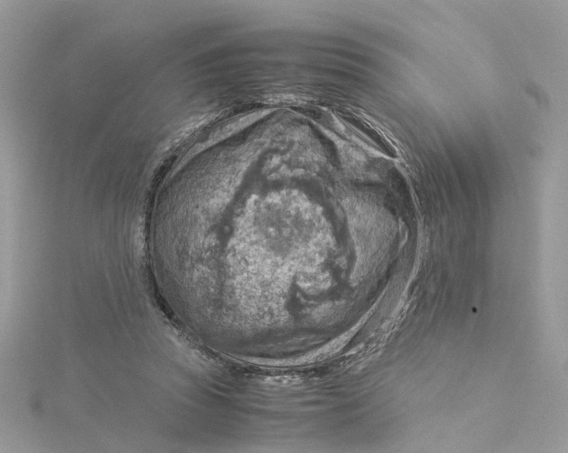 X0000115190353200911181453