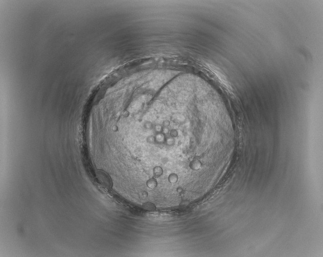 X0000115190354200911181453