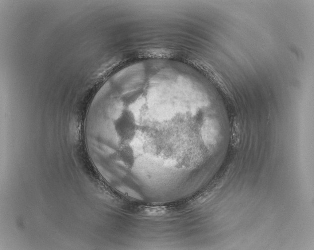 X0000115190355200911181453