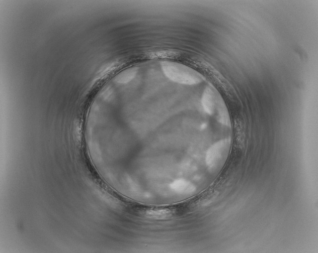 X0000115190357200911181453