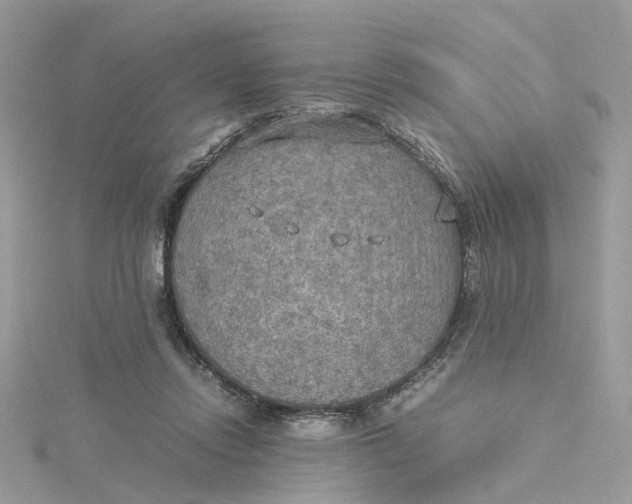 X0000115190358200911181453