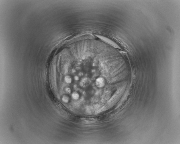 X0000115190359200911181453