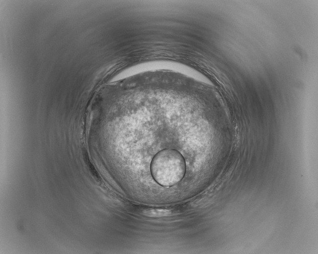 X0000115190361200911181453