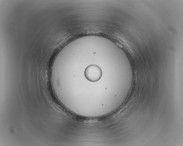 X0000115190362200911181453