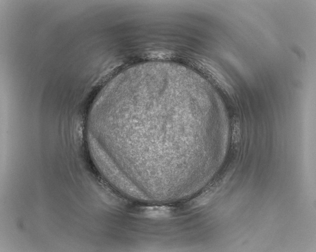 X0000115190363200911181453