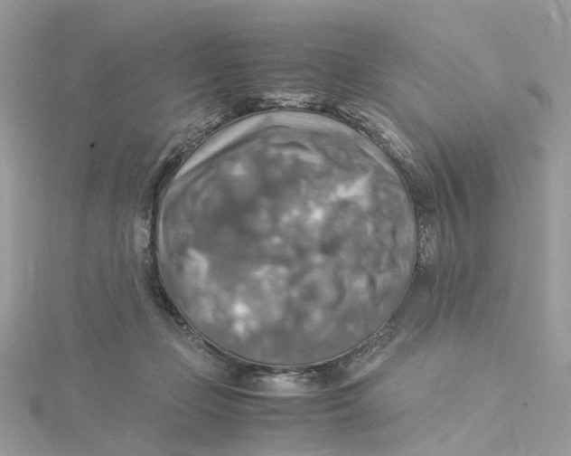 X0000115190365200911181453