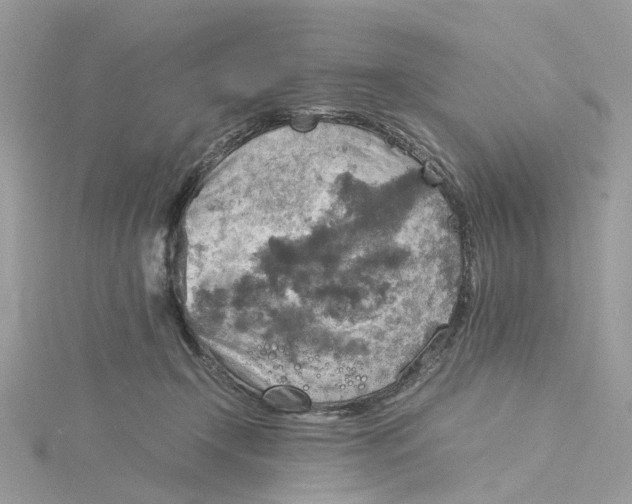 X0000115190366200911181453