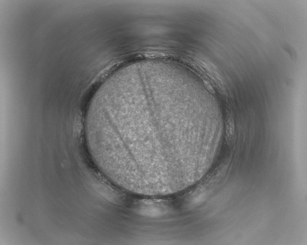 X0000115190367200911181453