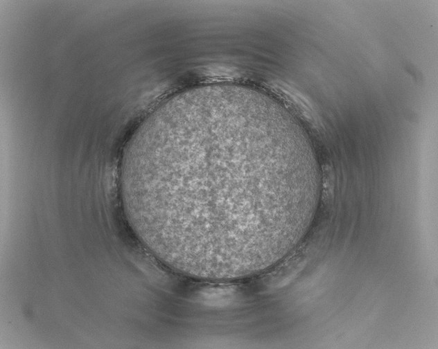 X0000115190369200911181453