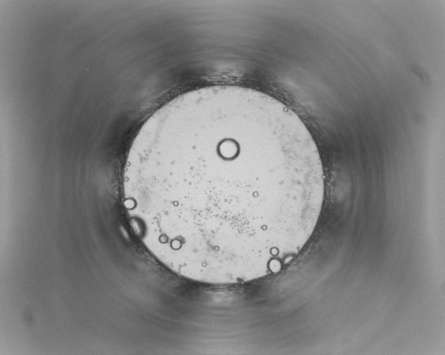 X0000115190370200911181453