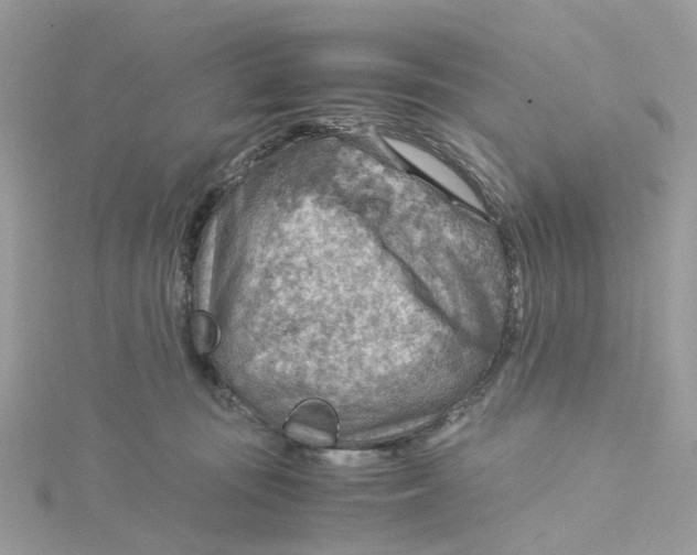 X0000115190371200911181453