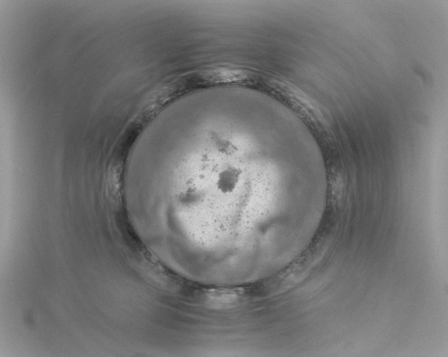 X0000115190373200911181453