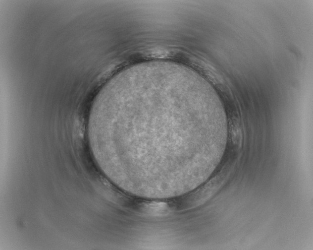 X0000115190374200911181453