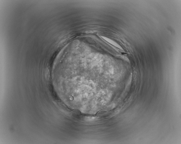 X0000115190375200911181453