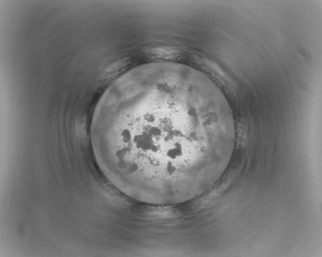 X0000115190377200911181453