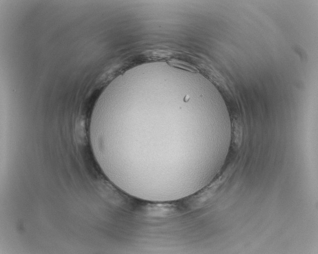 X0000115190378200911181453