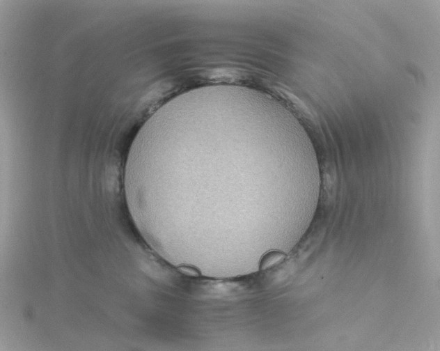 X0000115190379200911181453