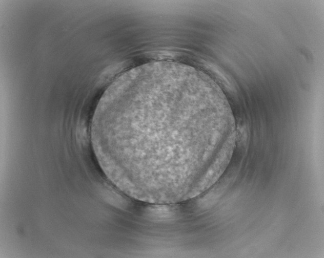 X0000115190381200911181453