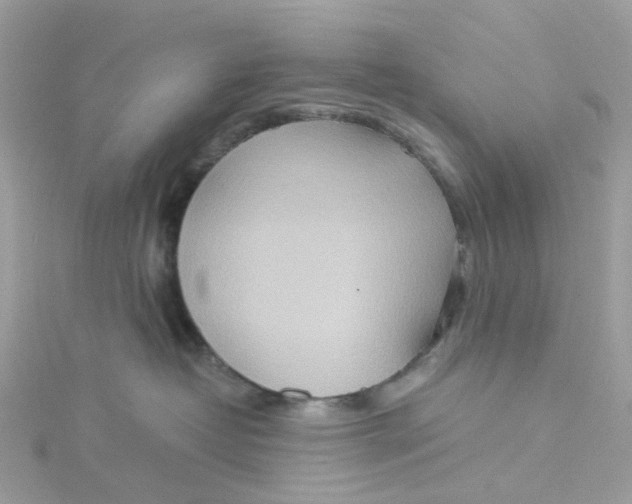 X0000115190382200911181453