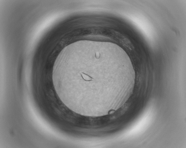 X0000115190383200911181453