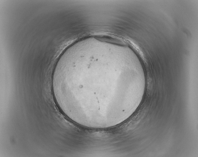 X0000115190385200911181452