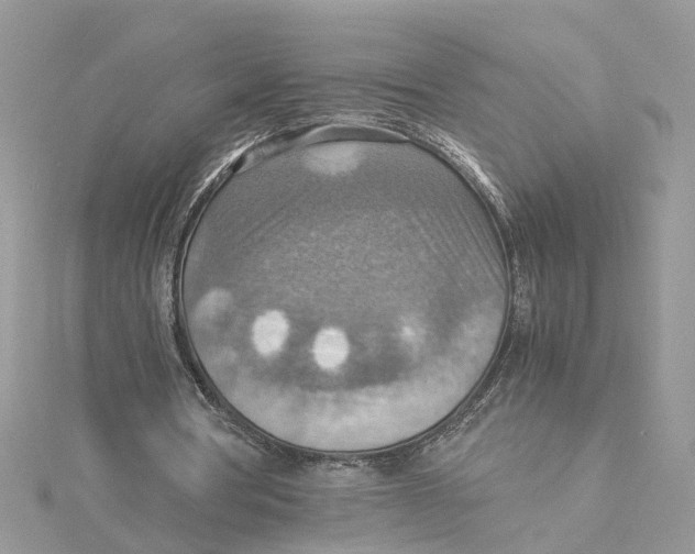 X0000115190386200911181452