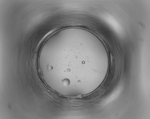 X0000115190387200911181452