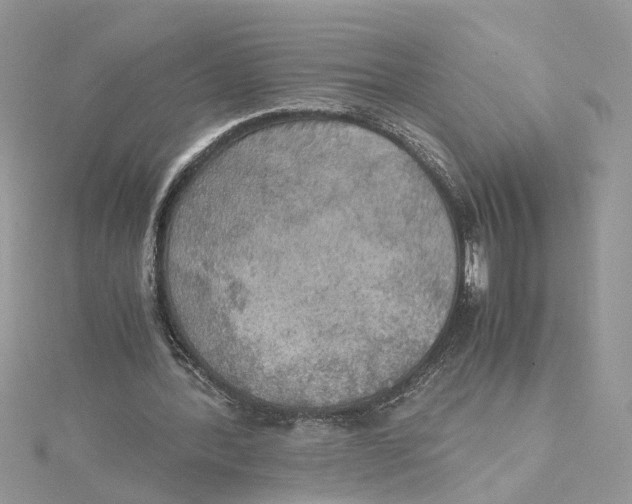 X0000115190388200911181452