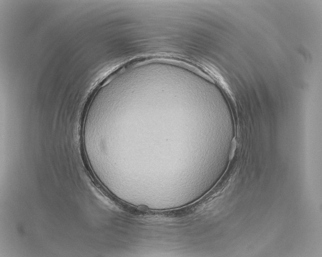 X0000115190389200911181452