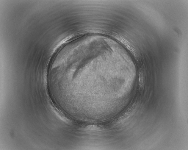 X0000115190390200911181452