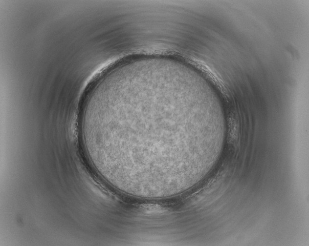 X0000115190392200911181452