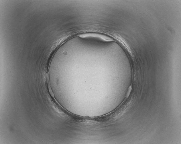 X0000115190393200911181452