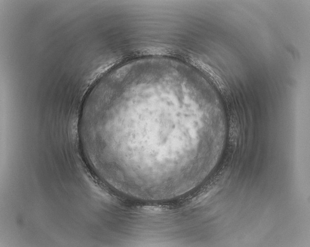 X0000115190394200911181452