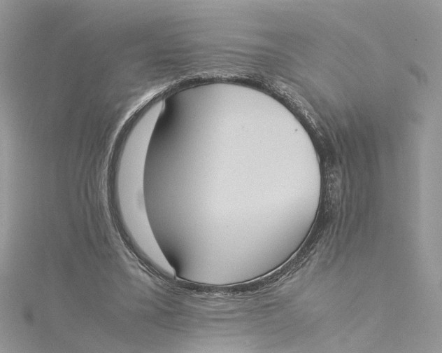 X0000115190395200911181452