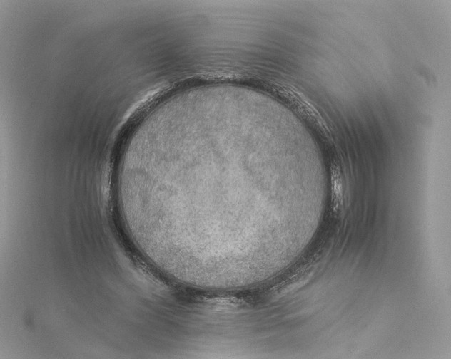 X0000115190396200911181452