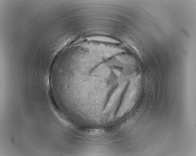 X0000115190398200911181452