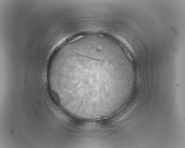 X0000115190399200911181452